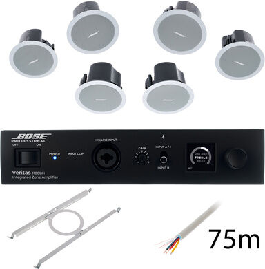 Bose Professional Veritas 1100BH/FS2C W Bundle Blanc