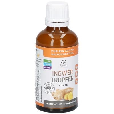 Ingwer Ginjer forte Tropfen 50 ml