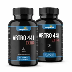 Artro 441 Extra - 240 Kapseln