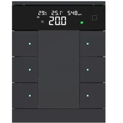 Busch-Jaeger SBRC/U6.0.11-885 Busch-Tenton® Bedienelement 6-fach mit Display, CO2 und RTR 2CKA006330A0241 SBRCU6011885