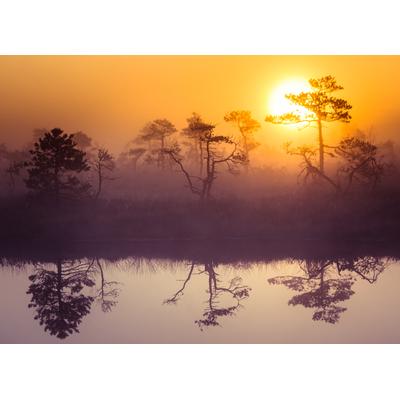 Fototapete PAPERMOON "Misty Morning Scenery", bunt, B:3,5m L:2,6m, Vlies, Tapeten