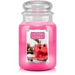 Dragonfruit Lemonade 680g