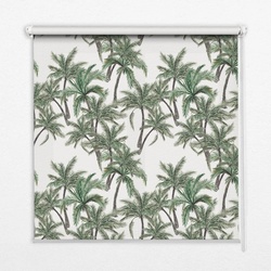INNENROLLO - Fensterrollo - Rollo - 100x100 cm - Palmen