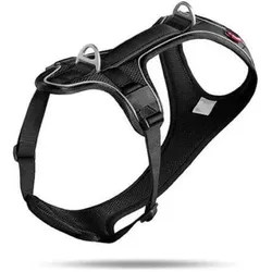 Curli Belka Comfort Hundegeschirr (M, Hund, Hundesport, Spazieren), Halsband + Leine
