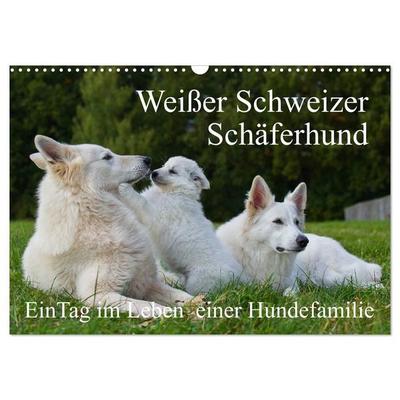 Weißer Schweizer Schäferhund - Ein Tag im Leben einer Hundefamilie (Wandkalender 2027 DIN A3 quer), CALVENDO Monatskalender