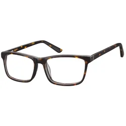 Brille Monatsbrille 2017 09 Sptember II