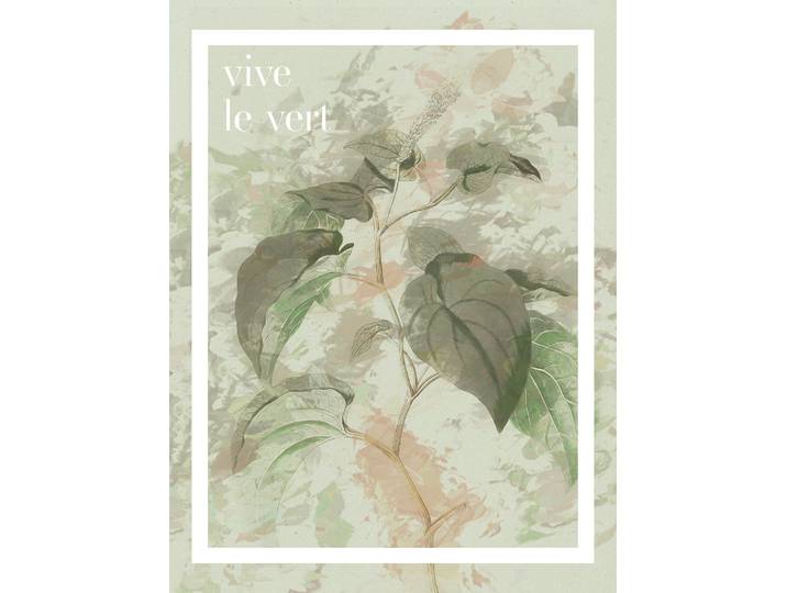 Bild KOMAR PLANT ART Vive le vert , grün (farbe bild(er): grün), B:30cm H:40cm, Holz, Papier, Bilder, Bild, Wandbild zur Dekoration - ohne Rahmen