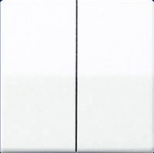 Jung Wippe aws AS 591-5 WW