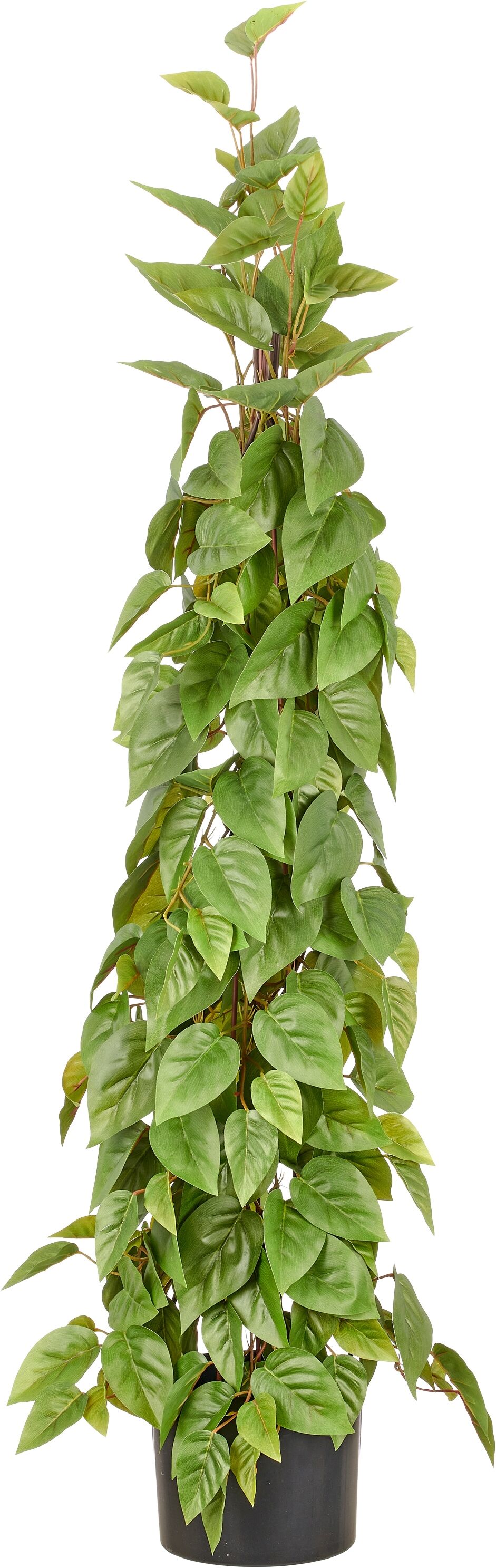 Kunstbaum CREATIV GREEN "Philodendron scandens", grün, H:125cm, Obermaterial: 100% Kunststoff, Kunstpflanzen, in Pyramidenform