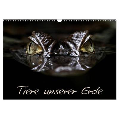 Tiere unserer Erde (Wandkalender 2026 DIN A3 quer), CALVENDO Monatskalender