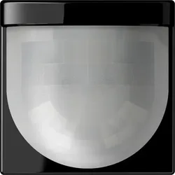Jung Automatik-Schalter A 17280 SW