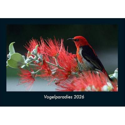 Vogelparadies 2026 Fotokalender DIN A4