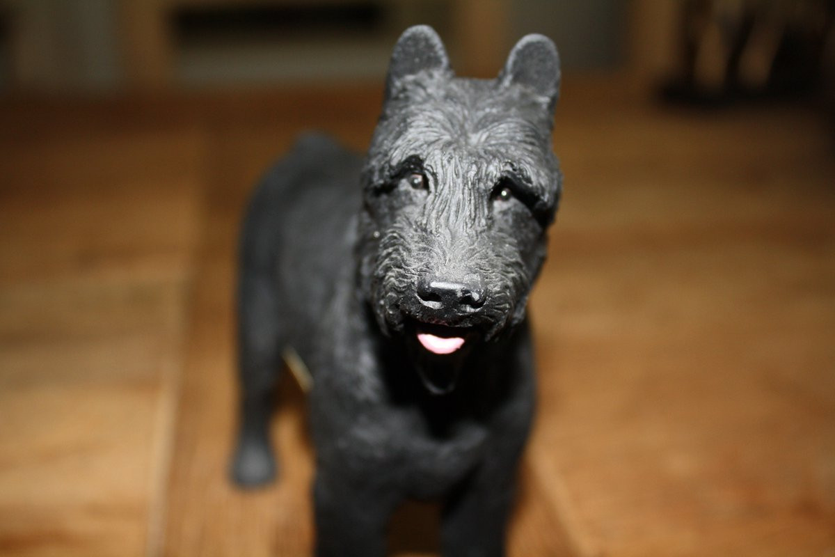 Dog's Life Collectibles Bouvier beeldje voor volwassenen