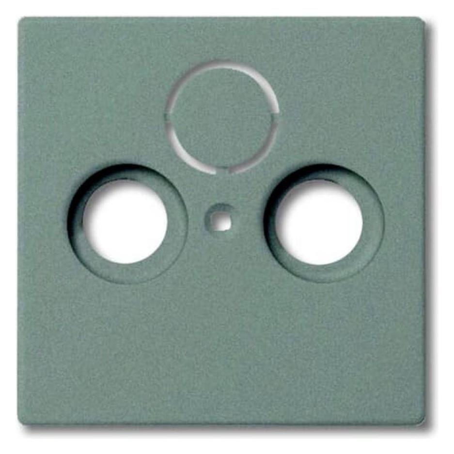 Busch-Jaeger Zentralscheibe (2CKA001724A4291)