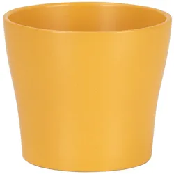 Scheurich CURCUMA        21/808 Übertöpfe