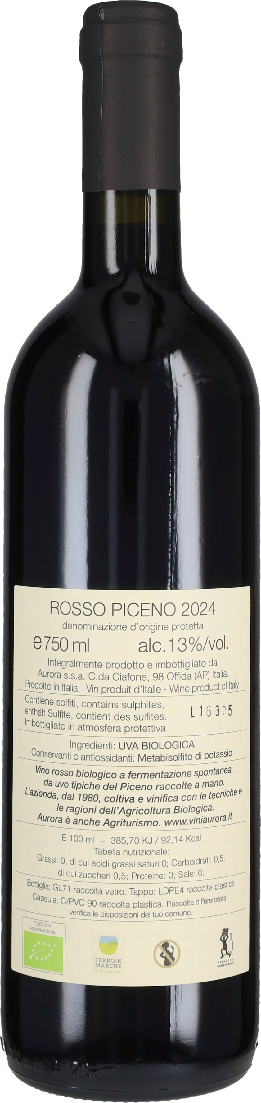 Rosso Piceno Aurora 2024