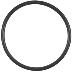 O-Ring für Leitschaufeleinsatz Speck Badu 40/7 + 40/11