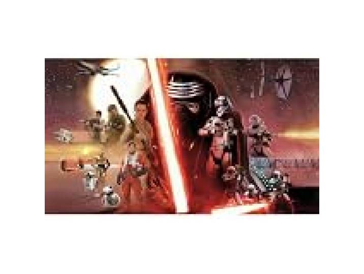 Fresque Murale Adhésive Géante Star Wars the Force Awakens Ep Vii