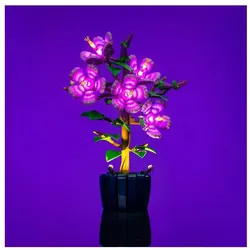 Light my bricks LMB 2.0 LED Licht Set für LEGO 10372 Hibiskus
