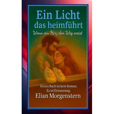 Ein Licht das heimführt, Taschenbuch von Elian Morgenstern, Tredition, 978-3-384-76300-6