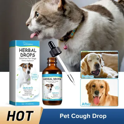 Herbal Dog Cough Relief Drops For Throat Comfort & Immune Support Herbal Dog Cough Relief Drops For Throat Comfort & Immune Support