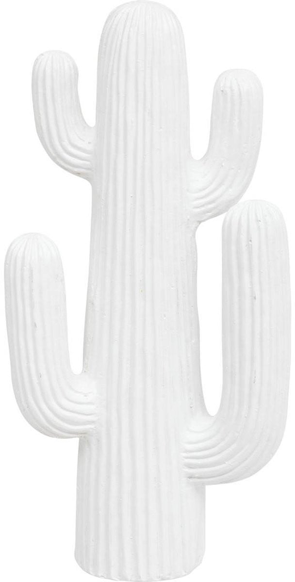 Decoratieve cactus Rodrigo succulent in pot