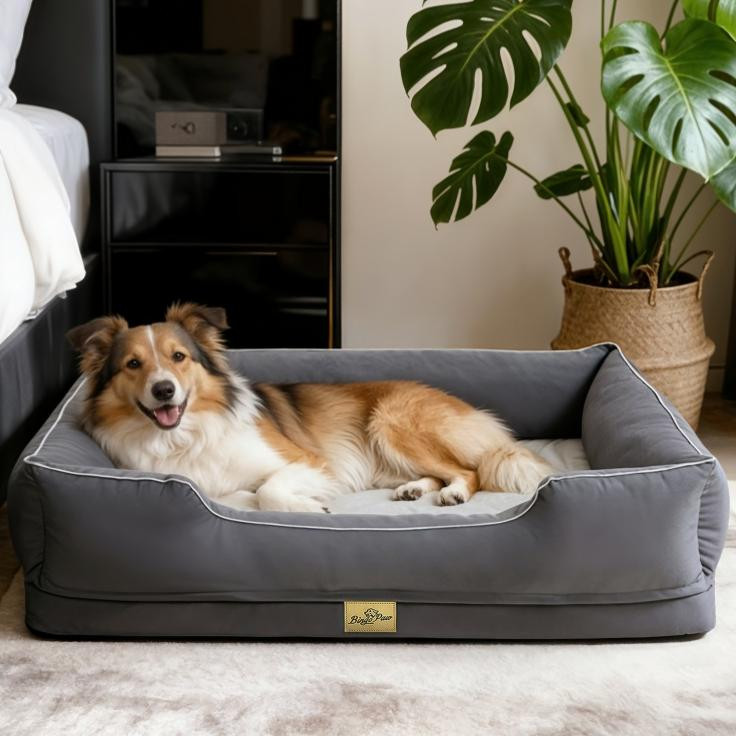 Bingopaw Hondenbed met verhoogde randen, wasbaar, B: 105 cm, D: 75,5 cm, H: 21 cm