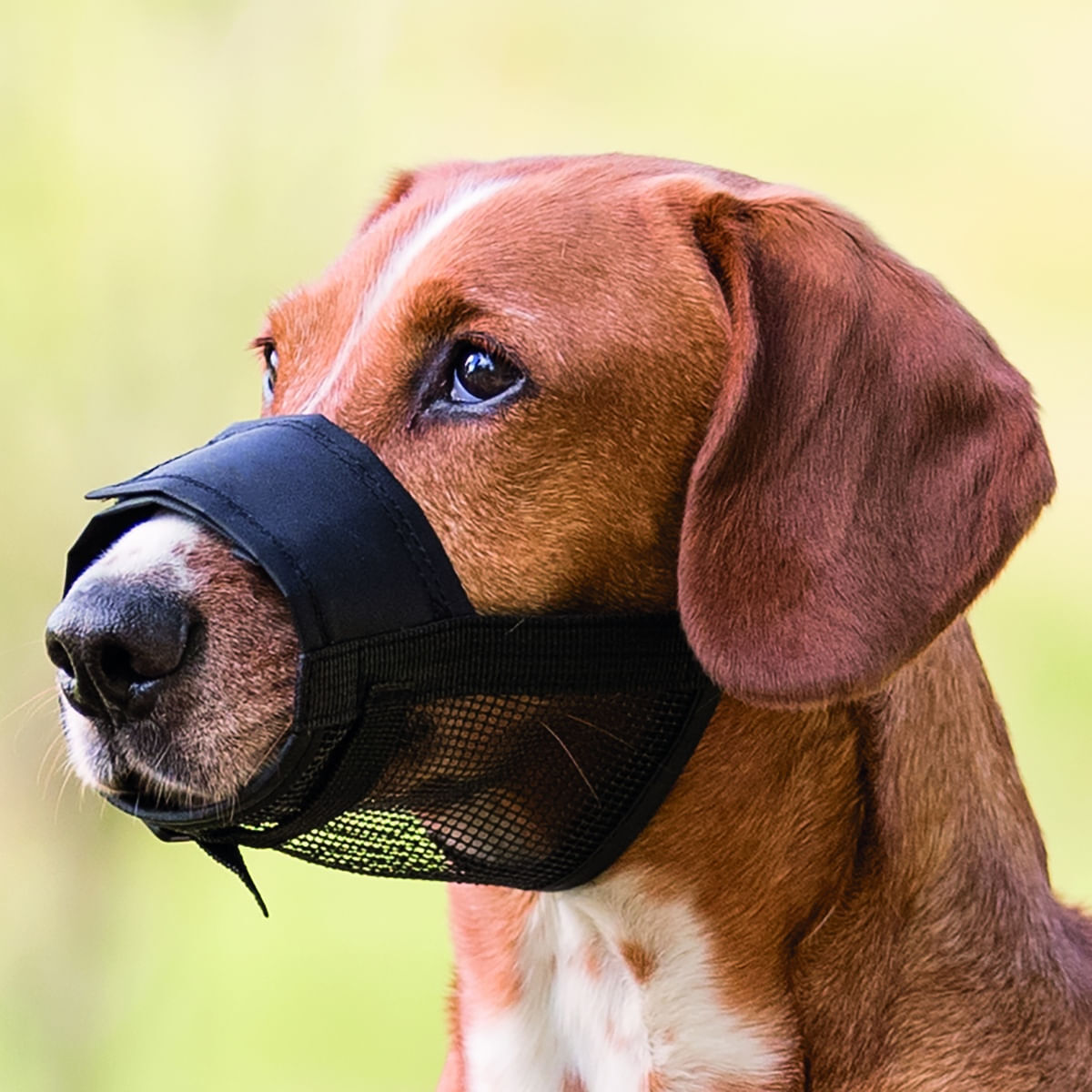 PET AROUND YOU Museruola Muzzy S