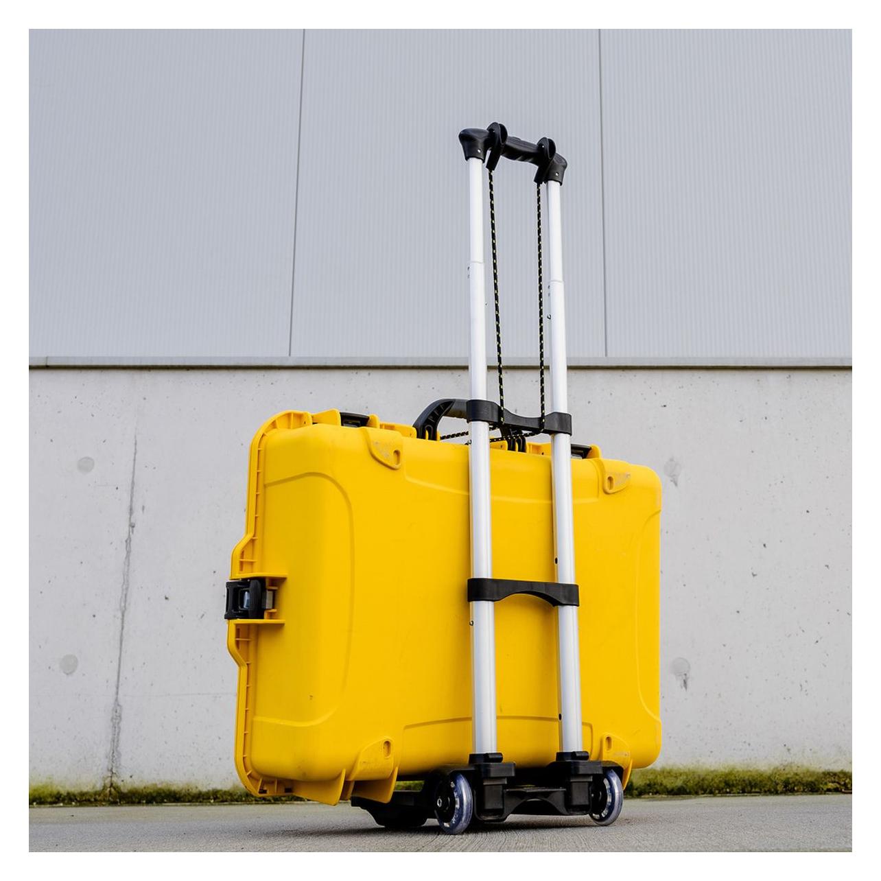 Caruba Universal Trolley I (D41870)