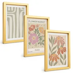 BILDER SET 3er Set - 20x30 cm Goldrahmen - Botanische Motive, Pariser Minimalismus