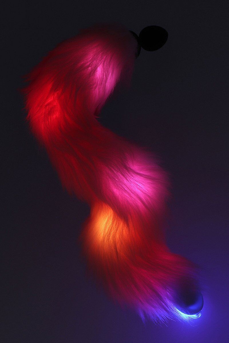 Taboom Plug anal Licorne avec queue lumineuse