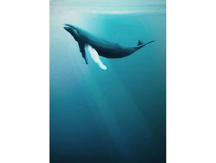 Komar Vlies Fototapete - Artsy Humpback Whale - Größe: 200 x 280 cm (Breite x Höhe) - Wal, Buckelwal, Unterwasser, Meeressäuger,inderzimmer, Tapete - IAX4-0045