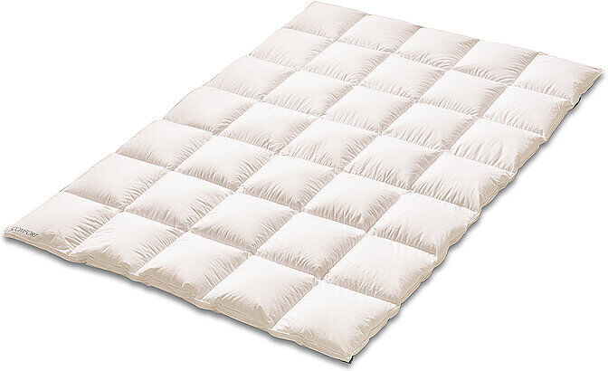 KAUFFMANN Daunen-Kassettendecke 200x200cm COMFOFT Weiss weiss EG