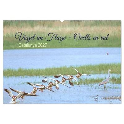 Vögel im Fluge - Ocells en vol (Wandkalender 2027 DIN A2 quer), CALVENDO Monatskalender
