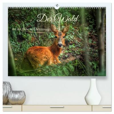 Der Wald - Ort der Ruhe und Besinnung (hochwertiger Premium Wandkalender 2027 DIN A2 quer), Kunstdruck in Hochglanz