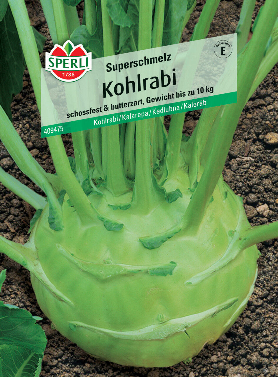Sperli Kohlrabi Superschmelz