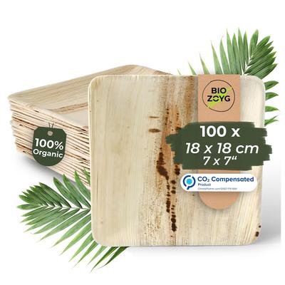 BIOZOYG 100 Stück Einwegteller 18x18cm Palmblatt-Teller, quadratisch, biologisch abbaubar, umweltfreundlich, kompostierbar, Wegwerfteller