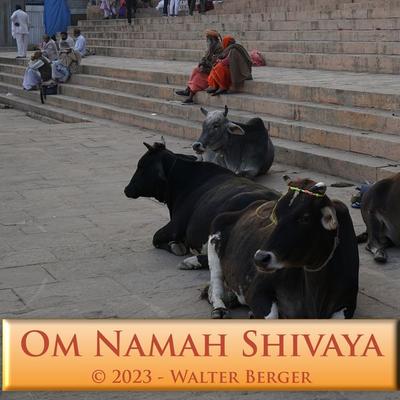 Om Namah Shivaya - 108 Mantras - Walter Berger, Audio, 4067248910856