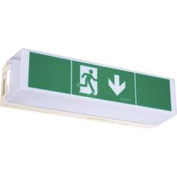 B-SAFETY BR 565 030 Fluchtweg-Notbeleuchtung Deckenaufbaumontage, Wandaufbaumontage
