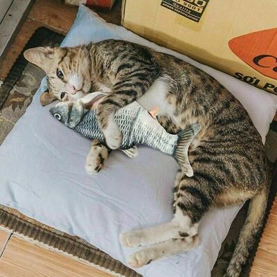 Pet Hub Dancing Wiggle Catnip Toy For Cats Dancing Wiggle Catnip Toy For Cats