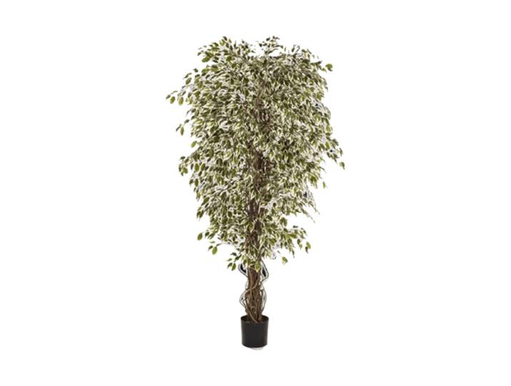 Lebensechte Kunstpflanze „Ficus Hawaiian Liana Branched“, verschiedene Grössen Grün Baq Design