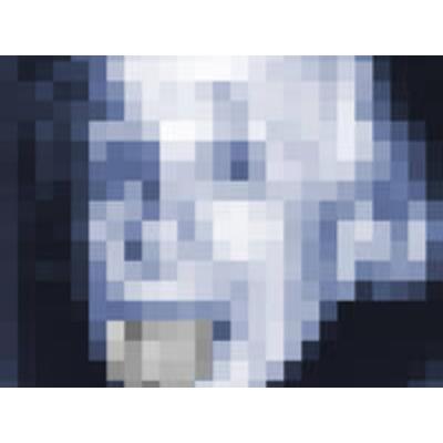 CALVENDO Puzzle Einstein | 1000 Teile Lege-Größe 64x48cm Foto-Puzzle für glückliche Stunden