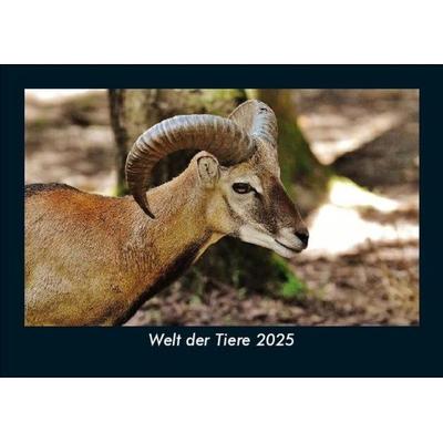 Welt der Tiere 2025 Fotokalender DIN A5