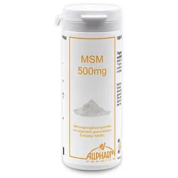 MSM 500 mg Kapseln 100 St