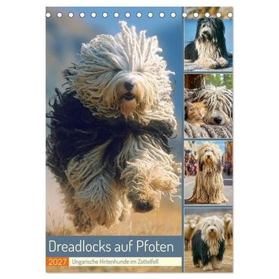 Dreadlocks auf Pfoten. Ungarische Hirtenhunde im Zottelfell (Tischkalender 2027 DIN A5 hoch), CALVENDO Monatskalender