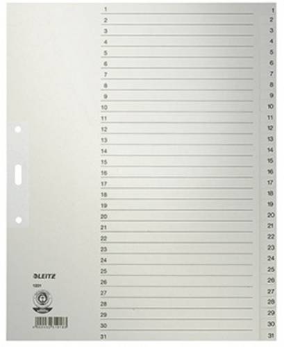 Leitz Register 12310085 DIN A4 1-31 volle Höhe Papier grau