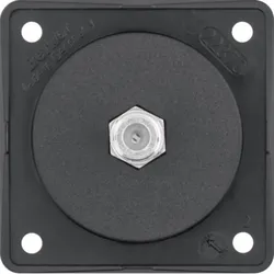 Berker Antennen-Steckdose 9451905