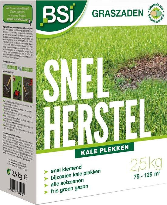 BSI Gazonzaad voor snelle regeneratie, 2,5 kg