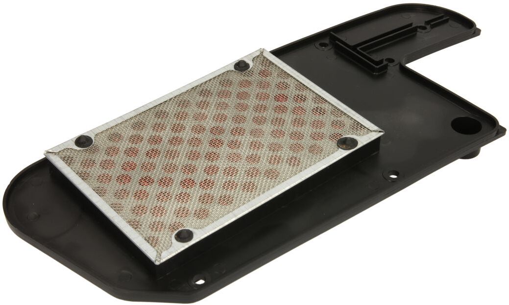Rms Filtro aria 10 060 2651