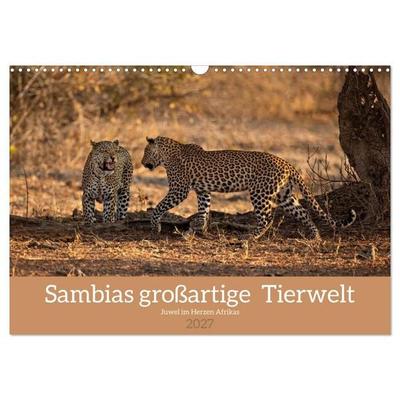 Sambias großartige Tierwelt (Wandkalender 2027 DIN A3 quer), CALVENDO Monatskalender